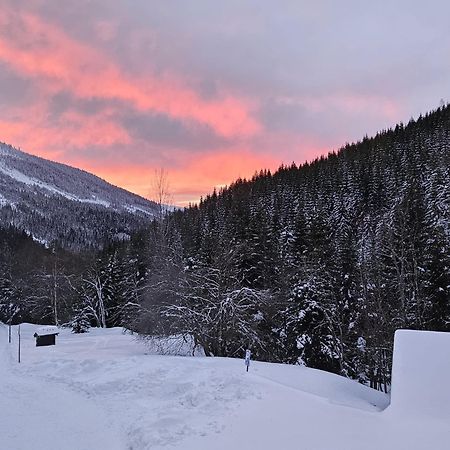 Bouda Bile Labe Hotel Spindleruv Mlyn Exterior photo